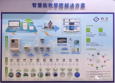 共襄盛會謀發展，林洋助力儀器儀表行業創新升級